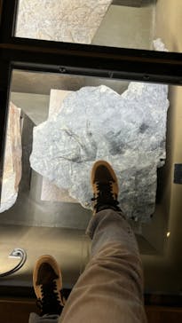 福井県立恐竜博物館に投稿された画像（2024/5/6）