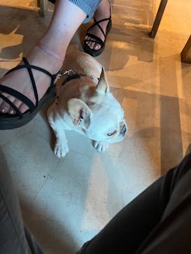 わんダフルネイチャーヴィレッジに投稿された画像（2024/5/6）