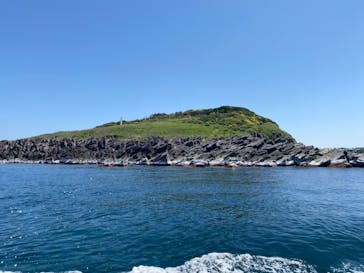 東尋坊観光遊覧船株式会社に投稿された画像（2024/5/6）