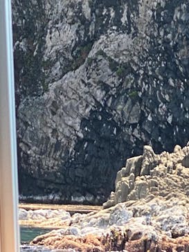 東尋坊観光遊覧船株式会社に投稿された画像（2024/5/6）