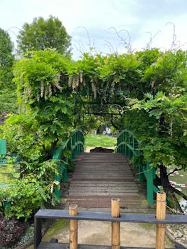 浜名湖花博2024に投稿された画像（2024/5/6）