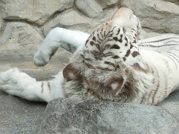 東武動物公園に投稿された画像（2024/5/6）