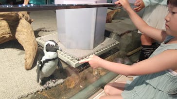 NIFREL（ニフレル）に投稿された画像（2024/5/6）