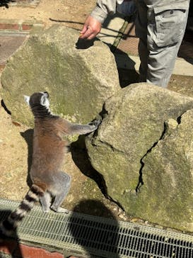 姫路セントラルパークに投稿された画像（2024/5/6）