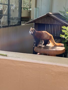 姫路セントラルパークに投稿された画像（2024/5/6）