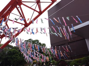 東京タワーに投稿された画像（2024/5/6）