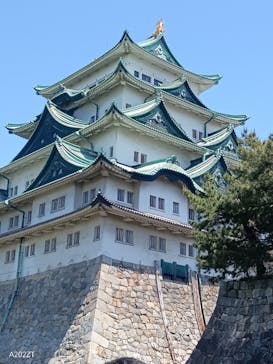 名古屋城に投稿された画像（2024/5/6）
