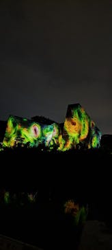 チームラボ ボタニカルガーデン 大阪に投稿された画像（2024/5/6）