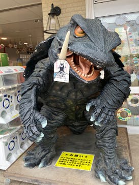 渋川スカイランドパークに投稿された画像（2024/5/6）