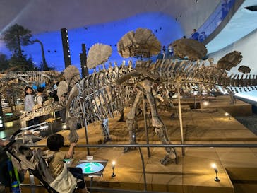 福井県立恐竜博物館に投稿された画像（2024/5/6）