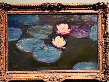 モネ　連作の情景に投稿された画像（2024/5/6）