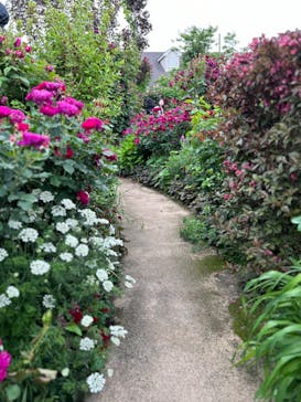 横浜イングリッシュガーデンに投稿された画像（2024/5/6）