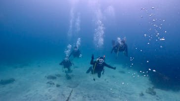伊豆高原ダイビングスクール 渋谷店に投稿された画像（2024/5/6）