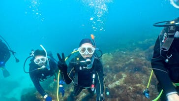 伊豆高原ダイビングスクール 渋谷店に投稿された画像（2024/5/6）