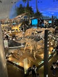 福井県立恐竜博物館に投稿された画像（2024/5/6）