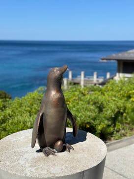 城崎マリンワールドに投稿された画像（2024/5/6）