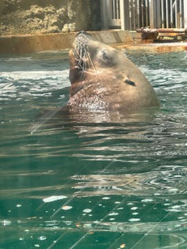 城崎マリンワールドに投稿された画像（2024/5/6）