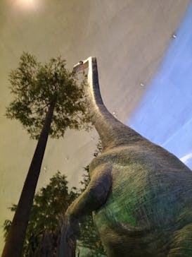 福井県立恐竜博物館に投稿された画像（2024/5/6）
