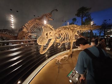 福井県立恐竜博物館に投稿された画像（2024/5/6）