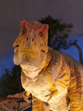 福井県立恐竜博物館に投稿された画像（2024/5/6）