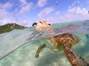 初心者専門宮古島シュノーケリングツアーに投稿された画像（2024/5/6）