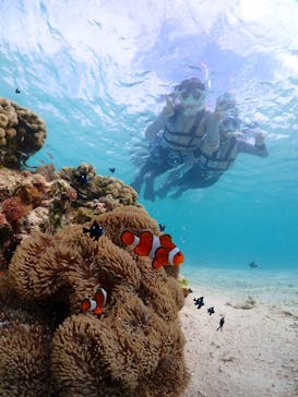 初心者専門宮古島シュノーケリングツアーに投稿された画像（2024/5/6）