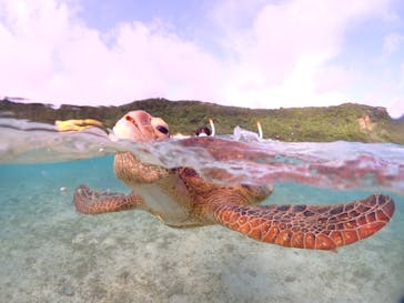 初心者専門宮古島シュノーケリングツアーに投稿された画像（2024/5/6）