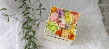 ずこうしつ〜sugamo〜に投稿された画像（2024/5/6）