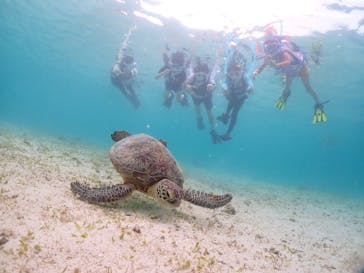 初心者専門宮古島シュノーケリングツアーに投稿された画像（2024/5/6）