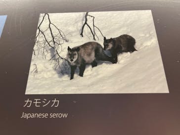 清津峡渓谷トンネルに投稿された画像（2024/5/6）