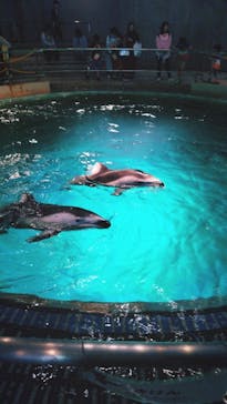 城崎マリンワールドに投稿された画像（2024/5/6）