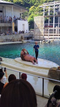 城崎マリンワールドに投稿された画像（2024/5/6）