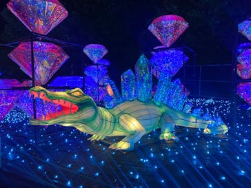 伊豆ぐらんぱる公園に投稿された画像（2024/5/6）