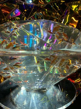 NARA KINGYO MUSEUMに投稿された画像（2024/5/6）