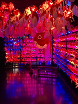 NARA KINGYO MUSEUMに投稿された画像（2024/5/6）