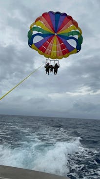 Sea World（シーワールド）に投稿された画像（2024/5/6）