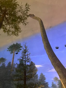 福井県立恐竜博物館に投稿された画像（2024/5/6）