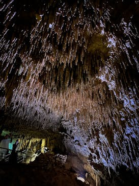 おきなわワールドに投稿された画像（2024/5/6）