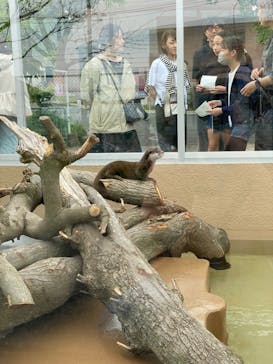 日立市かみね動物園に投稿された画像（2024/5/6）