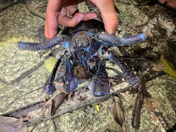 宮古島マリン SUGAR3（シュガースリー）に投稿された画像（2024/5/6）