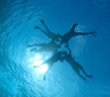 宮古島 ADVENTURE PiPi（ミヤコジマ アドベンチャー ピピ）に投稿された画像（2024/5/6）