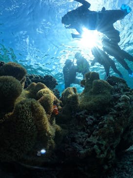 宮古島 ADVENTURE PiPi（ミヤコジマ アドベンチャー ピピ）に投稿された画像（2024/5/6）