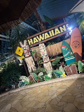 スパリゾートハワイアンズに投稿された画像（2024/5/6）