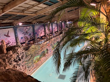 スパリゾートハワイアンズに投稿された画像（2024/5/6）