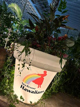 スパリゾートハワイアンズに投稿された画像（2024/5/6）