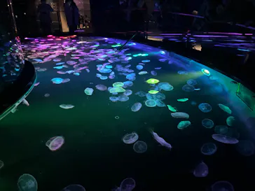 すみだ水族館に投稿された画像（2024/5/6）