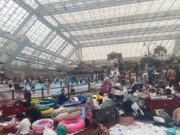 東京サマーランドに投稿された画像（2024/5/6）