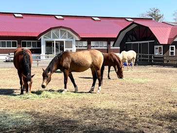 ノーザンホースパークに投稿された画像（2024/5/6）