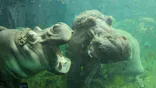 天王寺動物園に投稿された画像（2024/5/6）