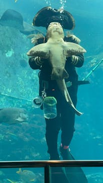 下田海中水族館に投稿された画像（2024/5/6）